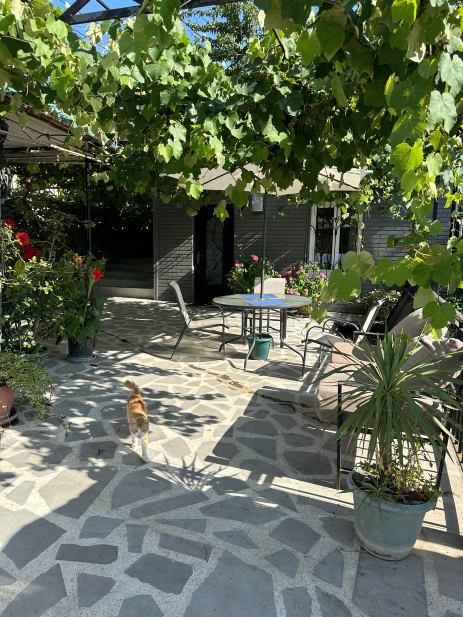 Apartment Lui Tbilisi ภายนอก รูปภาพ